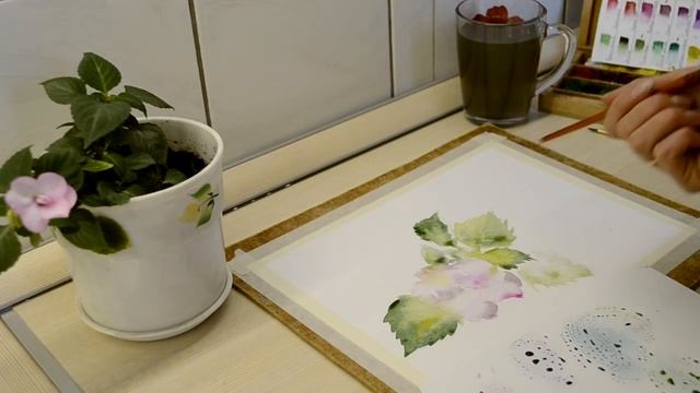 Мастер-класс #13 Картина акварелью "Бальзамин". смотреть онлайн