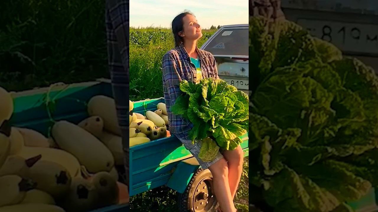 КАК ЖИВУТ ЛЮДИ НА ХУТОРЕ #деревня #урожай #огород смотреть онлайн