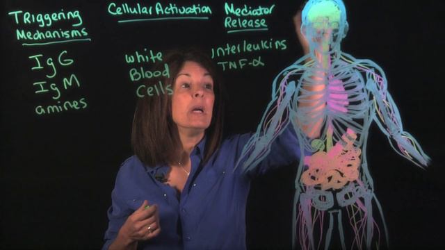 Best Food Sensitivity Test: IgG vs MRT смотреть онлайн