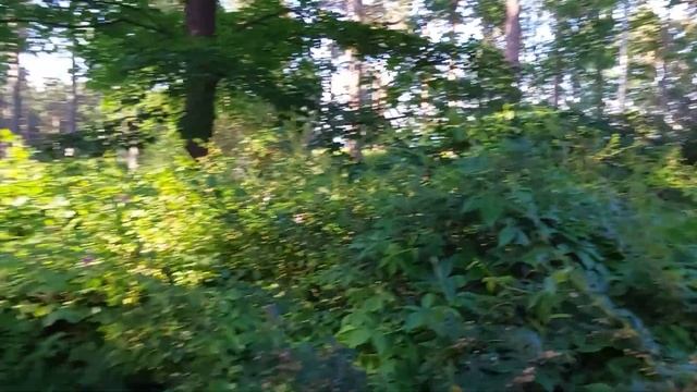 VLOG. Что привезла из Италии, обед в кафе, шок от цен в Латвии смотреть онлайн