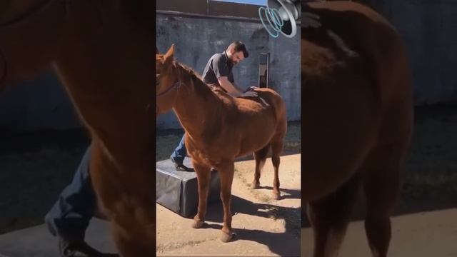 Для чего так делают кто знает ? Если знаете ответа, пишите в комментарии и вставьте лайк ? смотреть онлайн