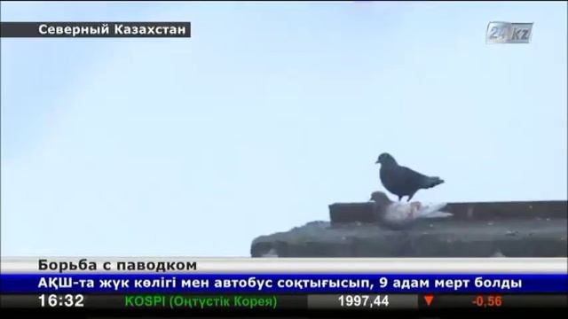 В Северном Казахстане размыло участок республиканской трассы Алматы-Екатеринбург смотреть онлайн