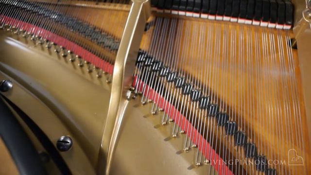 Used Bush and Gerts Grand Piano for Sale - Living Pianos смотреть онлайн
