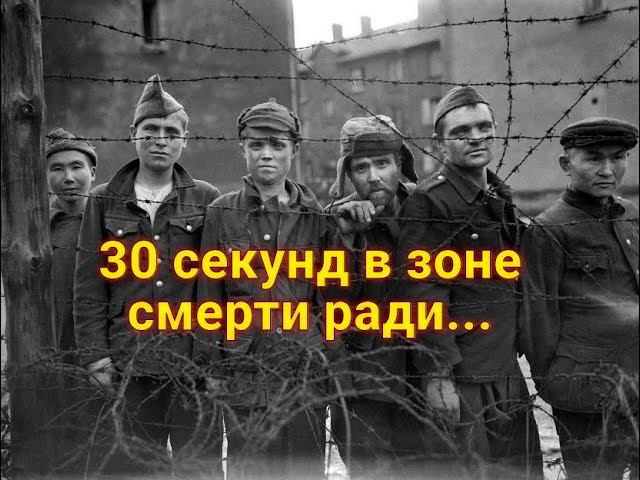 Быстро! Полминуты! Стреляю без предупреждения! - сказал немец смотреть онлайн