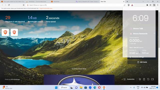 Add Metamask In Brave Browser/Use Brave Wallet