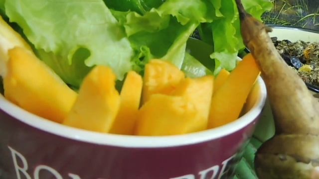 ЧТО Я СУШУ ДЛЯ МОРСКОЙ СВИНКИ СКИННИ - ЛИЛИ ( ПИТОМНИК "МАРИ МИСТИК" ) смотреть онлайн