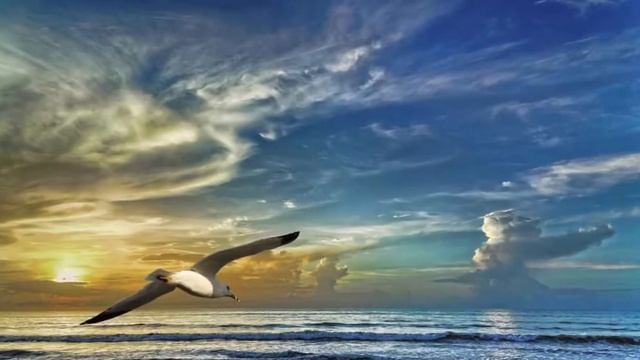 Владимир Филатов «У моря» стихи смотреть онлайн