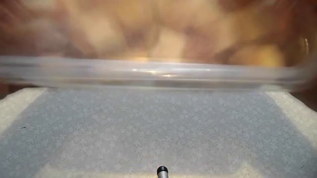 Быстрый способ засолки сала / Quick Way Salting SALO (salted Pork Fat) (bacon)