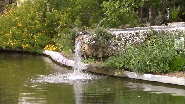 Miami Beach botanical garden смотреть онлайн