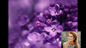 Юлдуз Усмонова Настарин гули