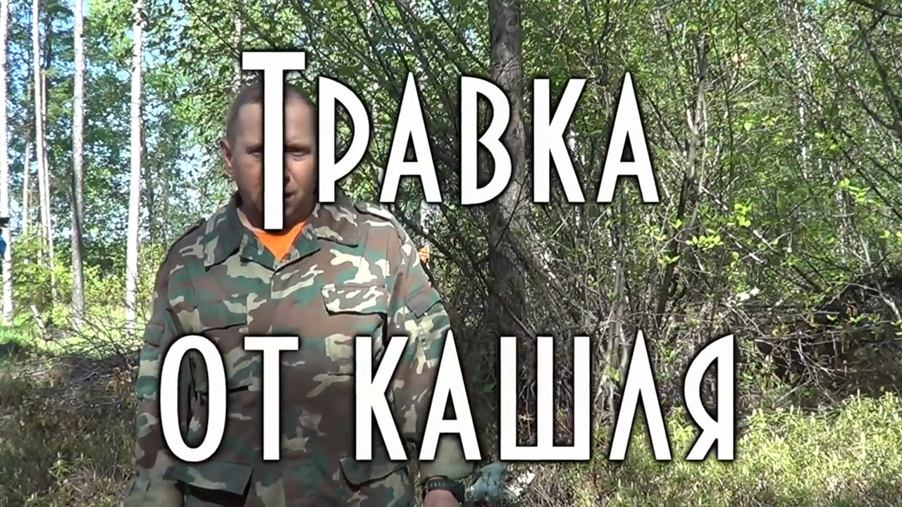 Травка от кашля, если вдруг заболел. смотреть онлайн