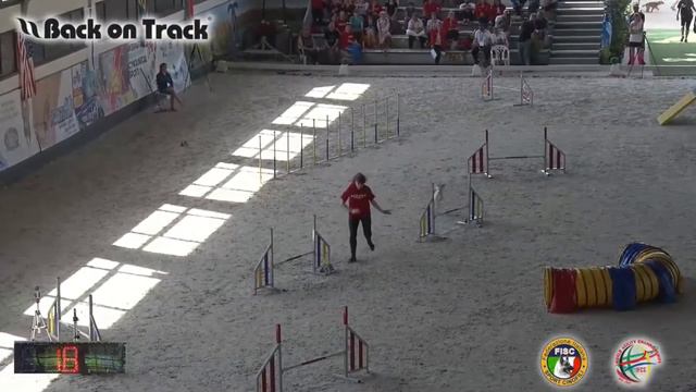 3 2018 World Agility Championship снукер Метелькова смотреть онлайн