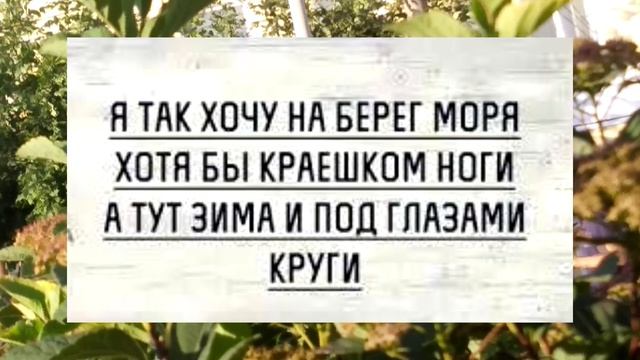 САМОЕ УМНОЕ РАСТЕНИЕ ЭТО ХРЕН!Он ВСЁ знает! смотреть онлайн