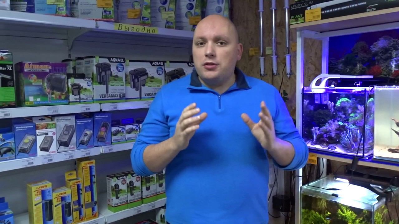Светильник Prime Led для пресноводных аквариумов смотреть онлайн