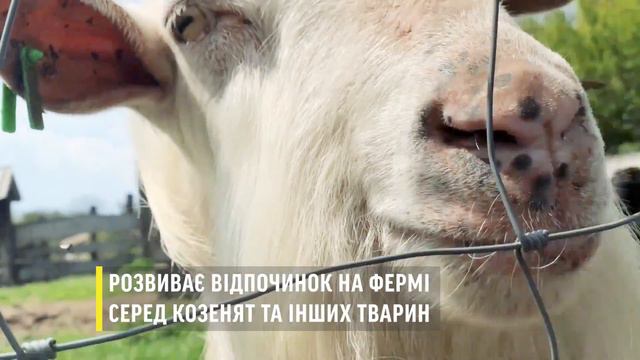 Дізнавайся смотреть онлайн