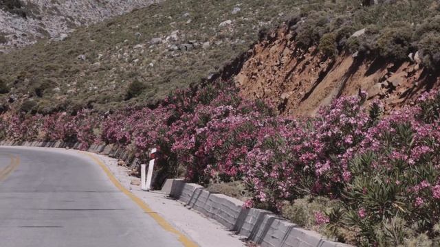 RF 70-200mm F/2.8L Vs Canon RF 24-105mm F/4 | Which One Makes More Sense? Vacation Special EOS R5 4