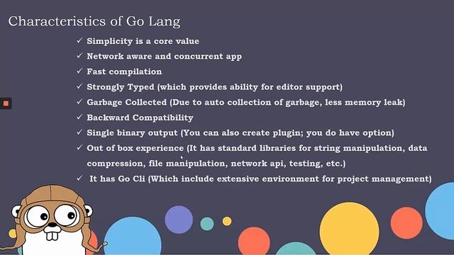Features of Go Language in Hindi смотреть онлайн