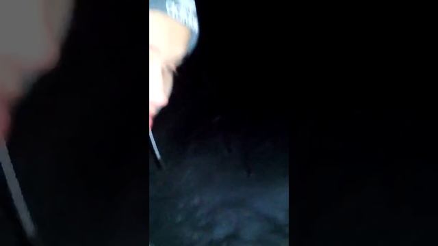 Мёртвая бичиха смотреть онлайн