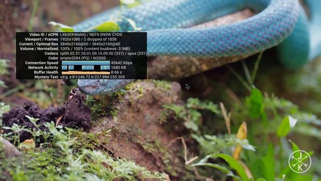 Zoomtak King S22 Amlogic S922X Hexa Core 4K TV Box Review смотреть онлайн