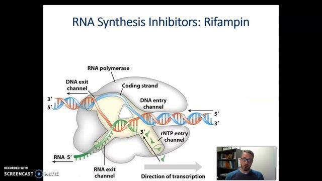 Rifampin Mechanism of Action смотреть онлайн