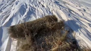 Зима пришла . Вывожу сено на тракторе т 40