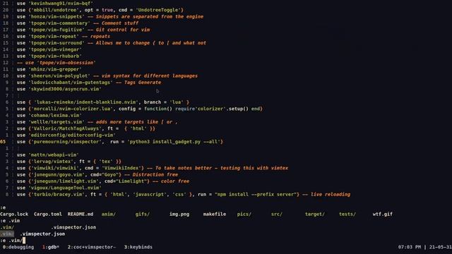 Debugging Rust in (Neo)Vim смотреть онлайн