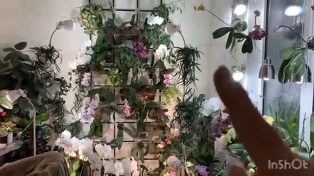 Коллекция Ольги Самоненко