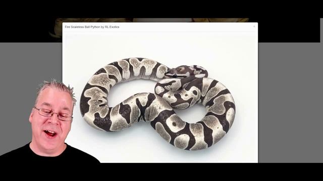 The Potential of the Scaleless Ball Python смотреть онлайн