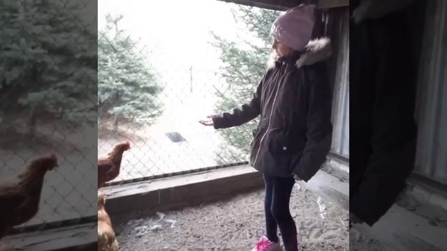 Мои домашние питомцы