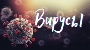 Вирусы.Опасности при вскрытии древних захоронений. #Гарат #ШколаСорадение #древние захоронения