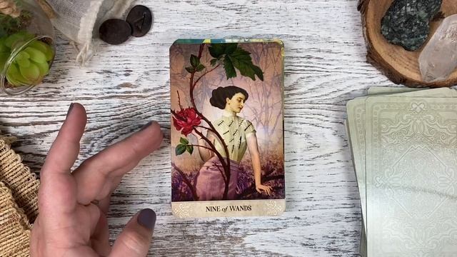 Beauty, Gloss, & Gilding | Tarot of Mystical Moments | Unboxing and Walkthrough смотреть онлайн