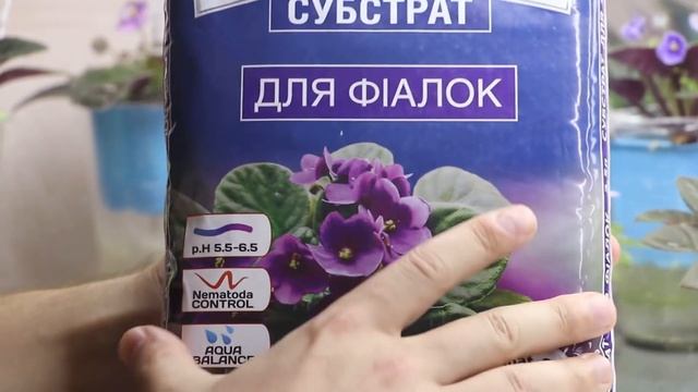 КАК СПАСТИ ФИАЛКИ ЛЕТОМ? 10 ЛУЧШИХ СПОСОБОВ Воспользуйтесь пока не поздно) смотреть онлайн