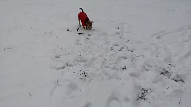 Джес11 смотреть онлайн