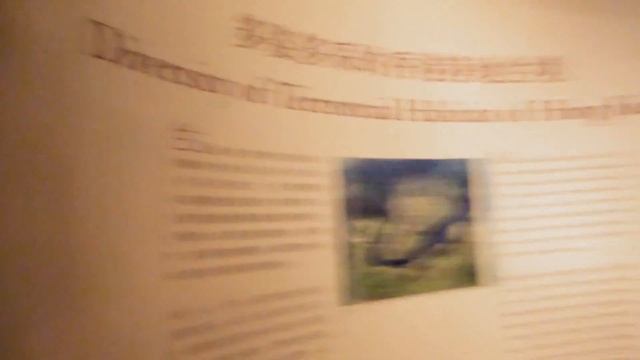 [Гонконг] ч.8: Музей истории Гонконга смотреть онлайн