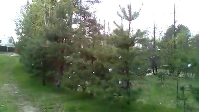 Новый год летом! смотреть онлайн