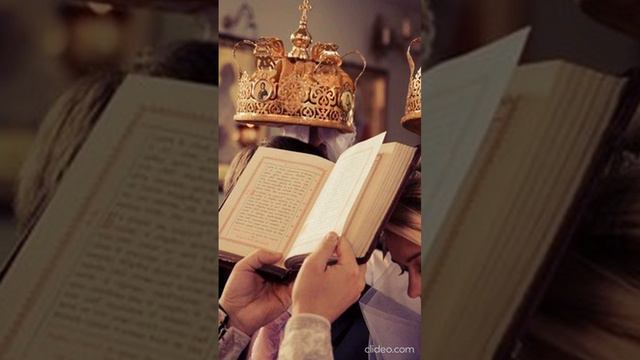 Такова сила любви Цитаты, мудрые слова великих людей смотреть онлайн