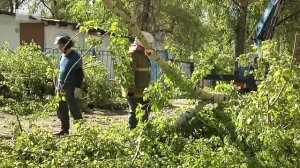 Приступить к ликвидации!