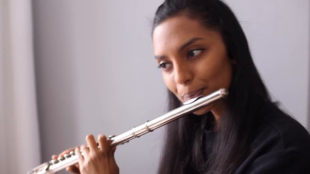 Havana - Camila Cabello Flute Cover смотреть онлайн