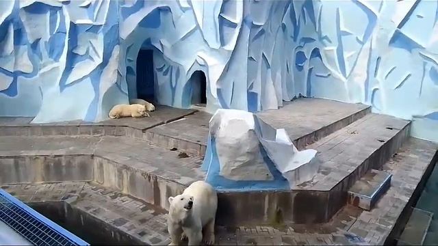 20 января 2024 г. смотреть онлайн