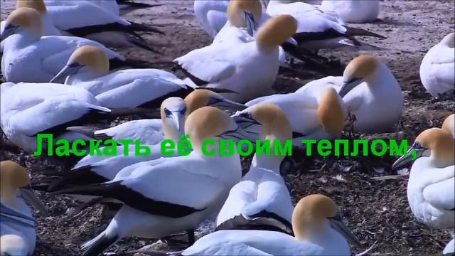 Красота сердца смотреть онлайн