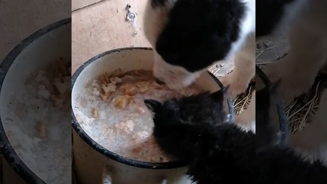 Когда то мы были дружными малышами :)