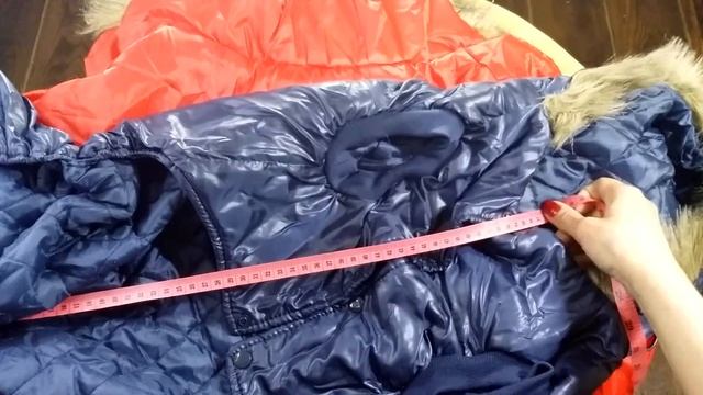 #ОДЕЖДА ДЛЯ СОБАКИ С ALIEXPRESS | ПОКУПКИ ДЛЯ СОБАКИ С АЛИЕКСПРЕСС | Посылки из Китая смотреть онлайн