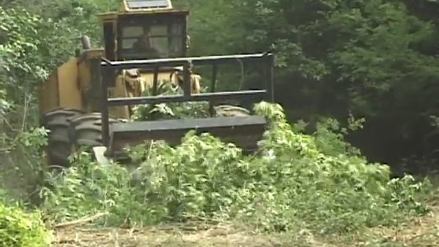 Site Preparation: Mulching 2 смотреть онлайн