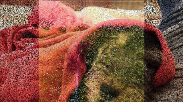 Вельштерьер, 3 мес., в Новом Доме. смотреть онлайн