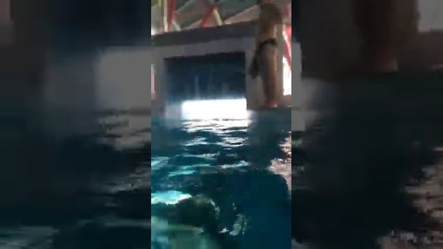 VLOG: Минск. Аквапарк Лебяжий. смотреть онлайн
