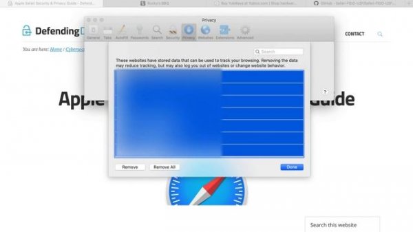 Apple Safari Browser Security and Privacy