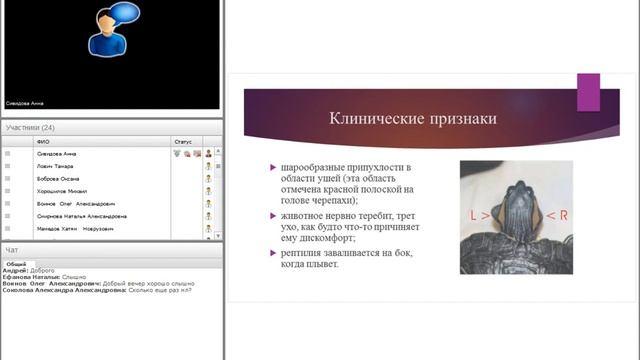 Болезни черепах. Правила приема. Диагностика. Лечение.. смотреть онлайн