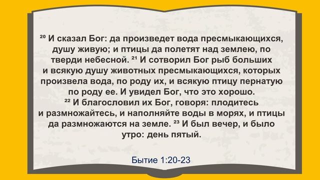 Урок 1. Внимание: работает Бог (Бытие 1-2) - "Обзор Книги Бытие" Прентис А. Медор, младший смотреть онлайн