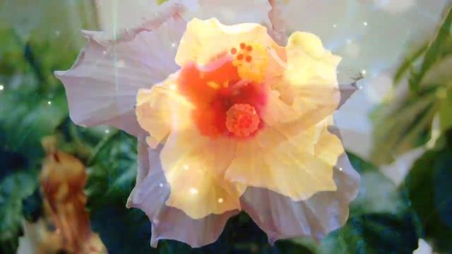 ?Чудесному человеку от всего сердца ?Добрые Пожелания? Музыкальное пожелание хорошему человеку ! смотреть онлайн