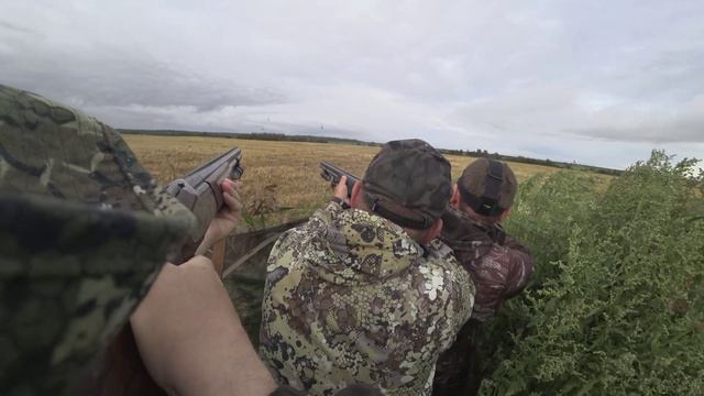 Охота на вяхиря #4 Сизари попали под раздачу смотреть онлайн